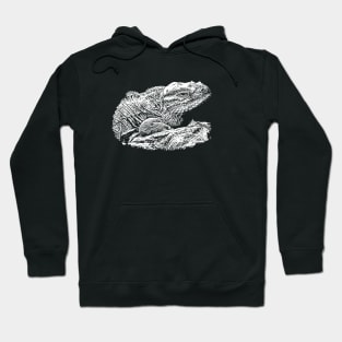 Iguana Hoodie